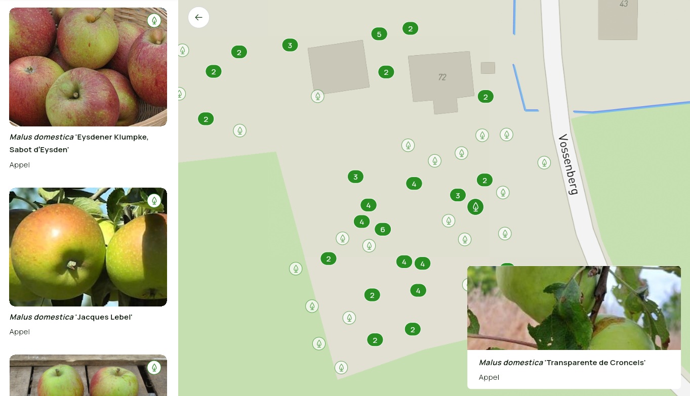 Showcase your botanical garden